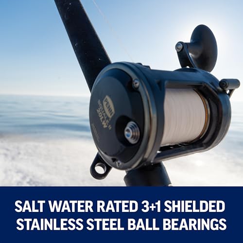 Penn Squall II Level Wind Conventional Fishing Reel 20LW for Bottom & Wreck Fishing
