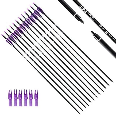 Skiennix 30-Inch Carbon Hunting Arrows - Removable Tips for Compound & Recurve Bows | Pack of 12