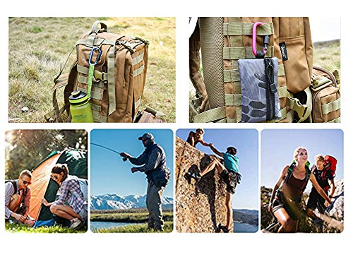 Aluminum Carabiner Keychain Locking D-Ring for Camping Hiking Travel - 10 PCS