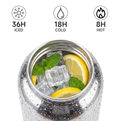 Fouss 19oz Stainless Steel Insulated Water Bottle with Straw - Blue