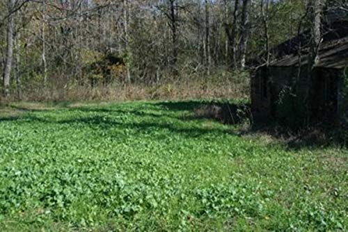 25-Pound Deer Food Plot Seed for Hard-to-Reach Areas - Fast-Growing, Nutritious Blend