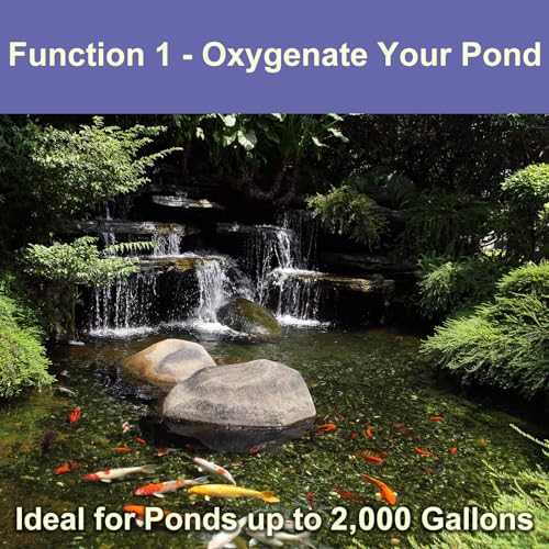 AquaMiracle 2000 Gallon All-in-One Koi Pond Aerator Kit with Air Stones & Check Valves