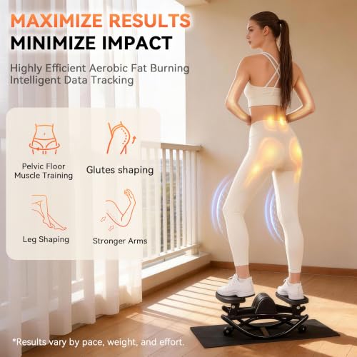Gannyfer Black Side-to-Side Rock Stepper Exercise Machine with Digital Monitor, Resistance Bands, 330 lbs Capacity
