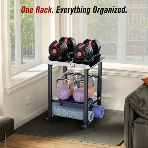 LBT Silver Adjustable Dumbbell Stand 600LB Capacity Home Gym Rack