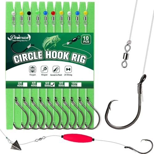 6/0 Circle Hook Rig - Pre-Rigged Catfish & Saltwater Fishing Set