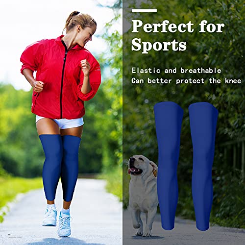 Compression Leg Sleeves for Men & Women - Black & Blue X-Large