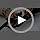 Black 40lb Takedown Recurve Bow for Hunting & Training with Arrow Sight