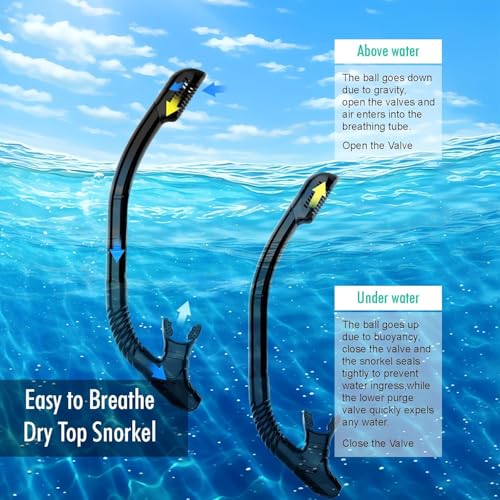 Adult Snorkeling Gear Set with Anti-Fog Goggles and Dry Snorkel - Black
