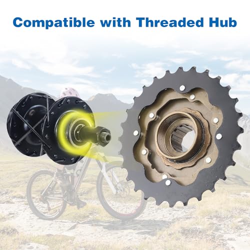 WEEROCK 6-Speed Threaded Freewheel 14-28T for Mountain and Cruiser Bikes