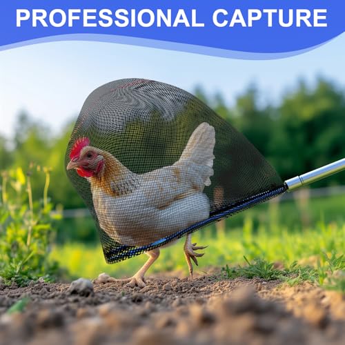 Chicken Catching Net Set with Stainless Steel Pole – 2 Handwoven Bird & Fish Nets