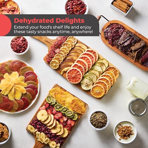 Magic Mill Premium Food Dehydrator with Black 15 XL Stainless Steel Trays, 800W Digital Timer