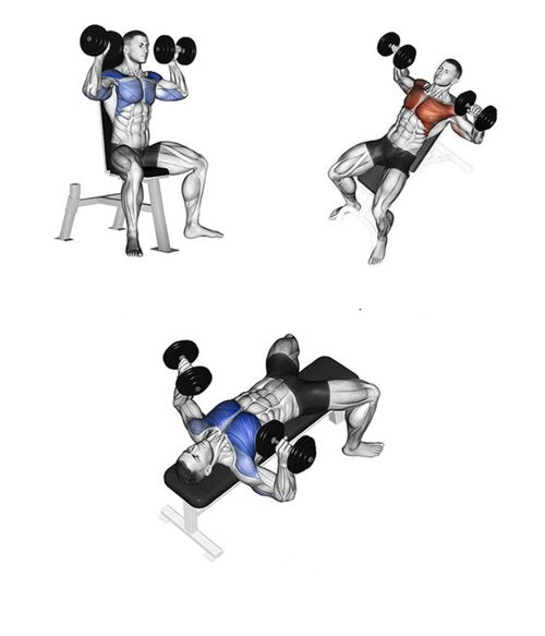Supporting Belt Dumbbell Lifting Protection Rope Training Safety Belt