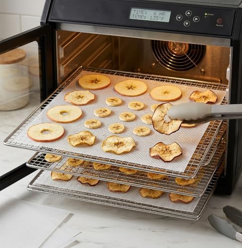 Silicone Dehydrator Sheets 13-Inch Reusable Mesh Mats for Food Drying - 10 Pack