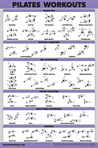 QuickFit 10 Pack - Exercise Workout Poster Set - Pilates, Dumbbell, Suspension, Kettlebell, Resistance Bands, Stretching, Bodyweight, Barbell, Yoga Poses, Exercise Ball (LAMINATED, 18" x 24")