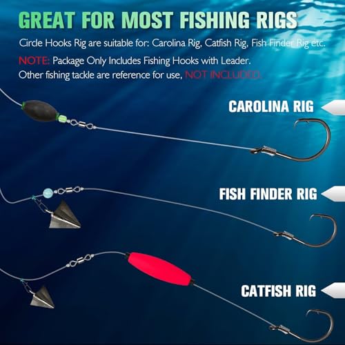 6/0 Circle Hook Rig - Pre-Rigged Catfish & Saltwater Fishing Set