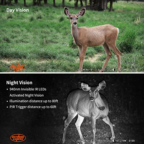 20MP Mini Trail Camera with Night Vision 80ft Range Waterproof Hunting Camera