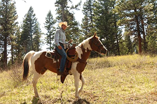 TrailMax Padded Rifle Scabbard for Horse Saddle & ATV – Weather-Resistant Gun Case