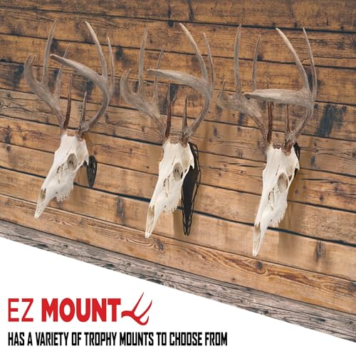Allen Company EZ Mount Stackable Turkey Fan & Beard Display - Metal Trophy Mount - Wall Display for Turkey Slam & Hunting Trophy Rooms - Brown