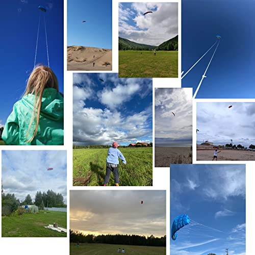 Dual Line Stunt Kite for Adults 2.5m Flying Sport Kite with Red Pattern