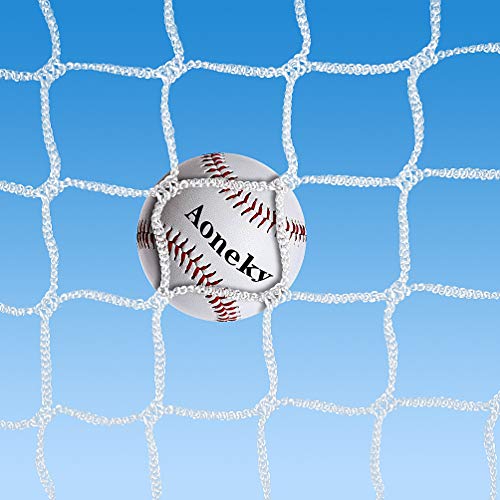 10x30ft Baseball Softball & Soccer Practice Barrier Net with Reinforced Rope Border - White Nylon Knotless Mesh