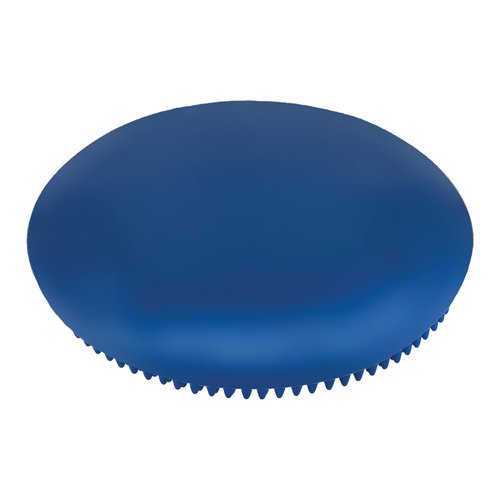 Champion Sports Exercise Disc