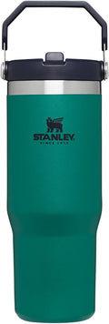 Stanley IceFlow Stainless Steel Tumbler - 30 Oz Vacuum Insulated Water Bottle | Leak-Resistant Flip Straw, Tidepool