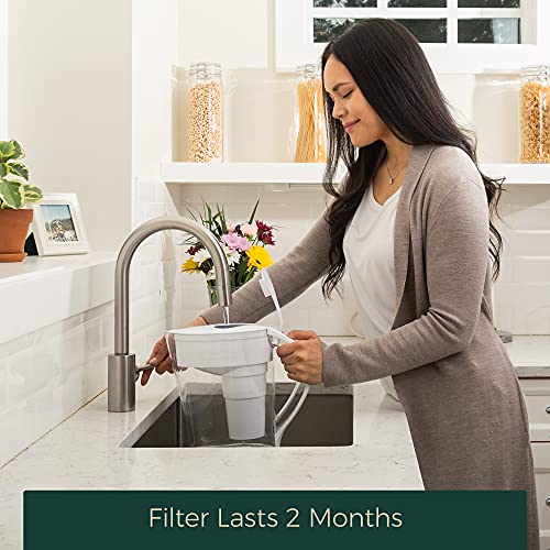 Santevia MINA Alkaline Water Filter 3-Pack for Pitcher | Removes Lead & Chlorine