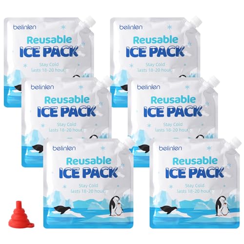 10x10 Inch Reusable Ice Packs for Cooler & Lunch Box - 6 Pack, Leak-Proof Freezer Packs