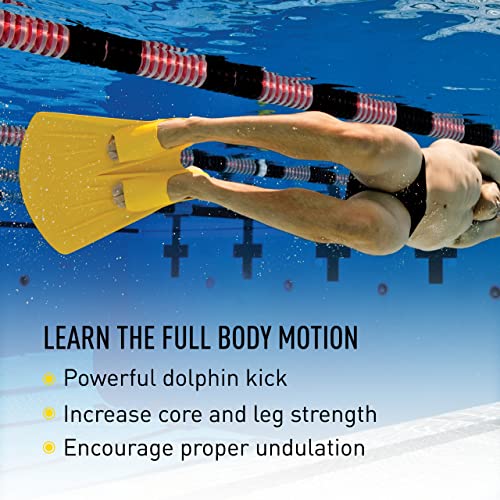 FINIS Small Foil Monofin Swim Fin for Adults - Core & Leg Strength Training
