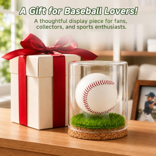 Baseball Display Case Large Glass Holder for Signed Baseballs - Rocalt