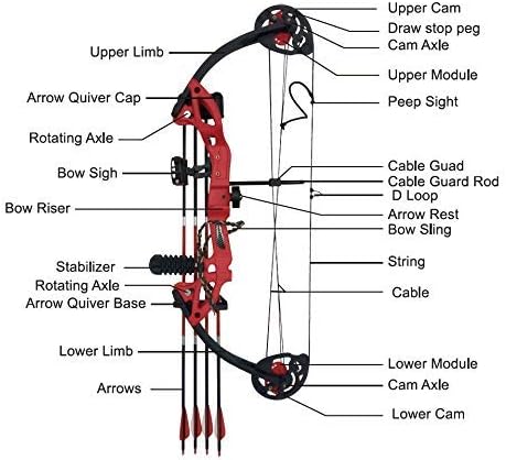 Skiennix Compound Bow - Youth & Beginner Archery | Right-Handed, 19”-28” Draw Length, 15-29 Lbs Draw Weight, 260 FPS