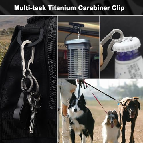 Small Titanium Carabiner Keychain Clip - Silver, 2 Inch Heavy Duty Keyring
