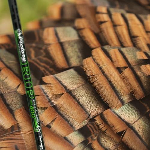 Carbon Arrow Fletched 0.204 Inch Spine 300 - Green, Straightness ± 0.003, 6 Pack