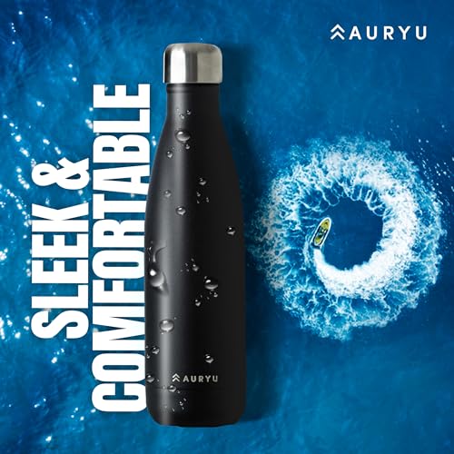 Black 17oz Insulated Water Bottle - Triple-Wall Stainless Steel Thermos, Leak Proof, Keeps Drinks Cold 24H Hot 12H, BPA-Free, Sport & Travel Flask - Black