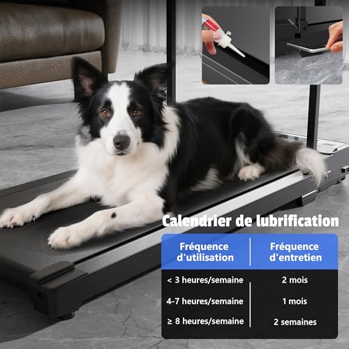 Walking Pad Treadmill for Home Office Under Desk Walking Machine Compact