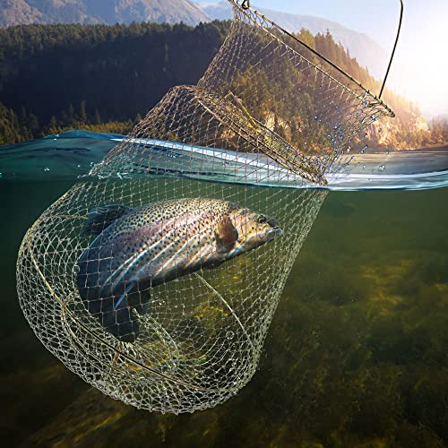 Medium Galvanized Steel Fish Basket - 13x22 Inch Portable Collapsible Fish Trap, Gold