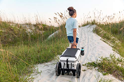 Heavy-Duty Cooler Cart Kit with 12-Inch Wheels & Straps - White