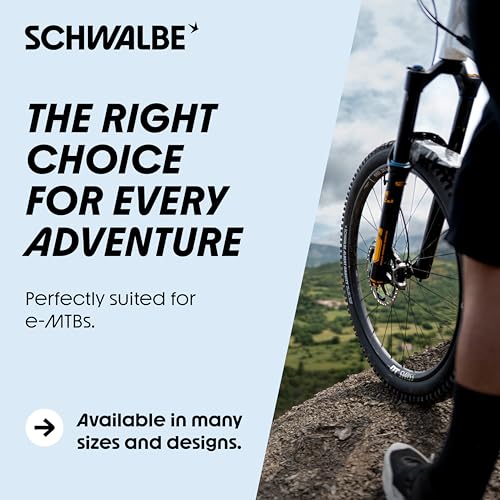 Schwalbe Albert Radial TLR Folding MTB Tire 27.5x2.60 Gravity Pro