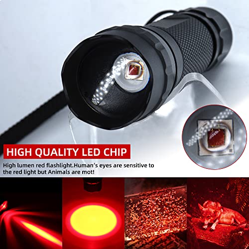 Darkbeam Red Light Flashlight Kit with Zoom Focus - 150m Visibility - Variation: Red Lens Clip