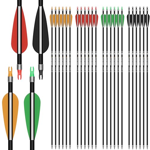 24 Pack Carbon Arrow Shafts for Compound Bows - 30 Inch Spine 500 with Removable Tips, Multi-Color Vanes