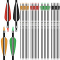 24 Pack Carbon Arrow Shafts for Compound Bows - 30 Inch Spine 500 with Removable Tips, Multi-Color Vanes