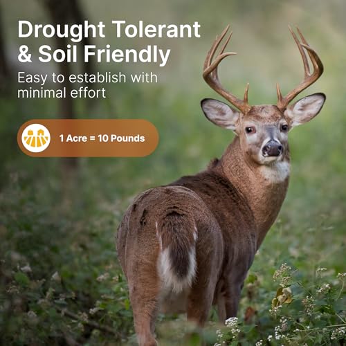 Hit List Seed 1 Acre Perennial Deer Food Plot Mix with Alfalfa & Clover
