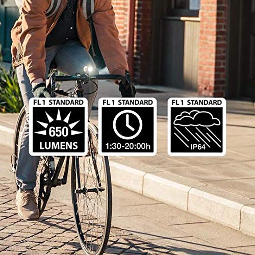 Bike Light Combo 650 Lumens Front & 110 Lumens Rear USB Rechargeable Waterproof