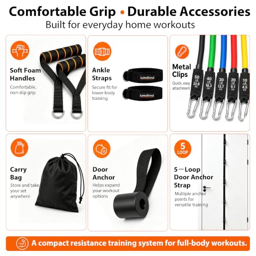 Full Body Resistance Bands Set with Handles, Door Anchor & Accessories for Home Workout
