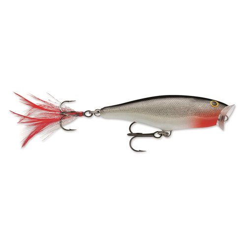 Rapala Skitter Pop Topwater Popper, Surface Hard Bait, Bass Fishing Lure, Splash and Pop Action, 2-3/4", Shad