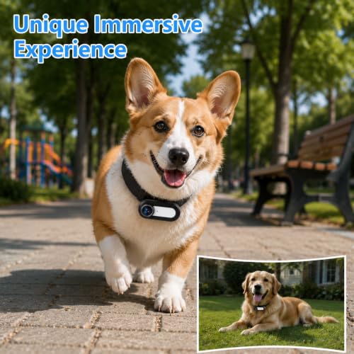 Mini HD 1080P Pet Collar Camera with Video Recording, Wide-Angle Lens, 170° Field of View