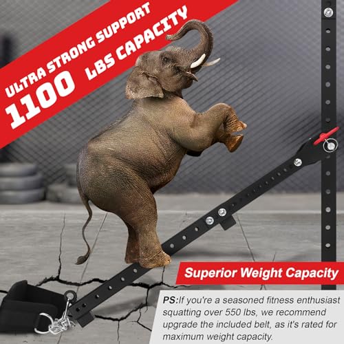 Universal Belt Squat Attachment for Power Racks, 1100 lbs Capacity, Adjustable, No Assembly