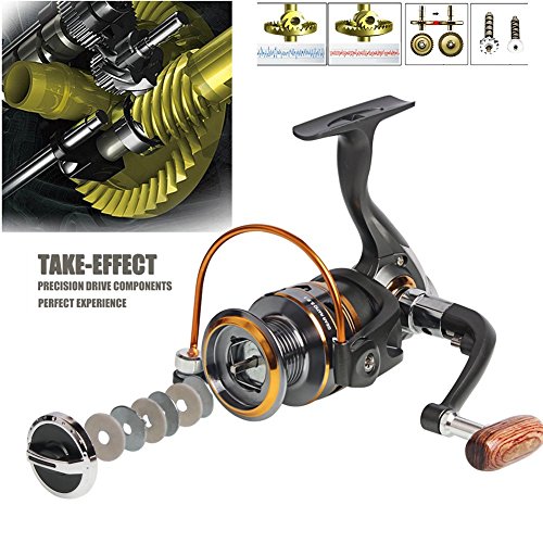 Sougayilang DK1000 Spinning Fishing Reel with Left/Right Interchangeable Collapsible Wood Handle, 11BB, 5.2:1 Gear, For Inshore, Freshwater & Saltwater
