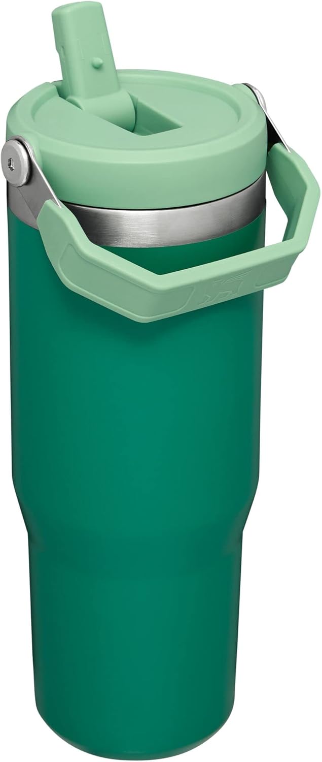Stanley IceFlow 30 oz Tumbler - Flip Straw & Handle | Insulated, Leak Resistant, BPA-Free | Alpine Color
