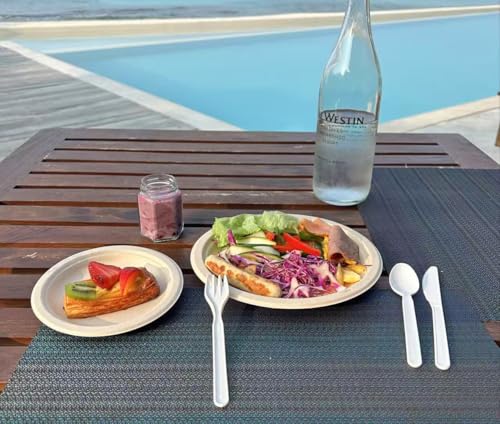 GreenWorks 1000 Bulk Compostable 7-Inch CPLA Knives Disposable Cutlery